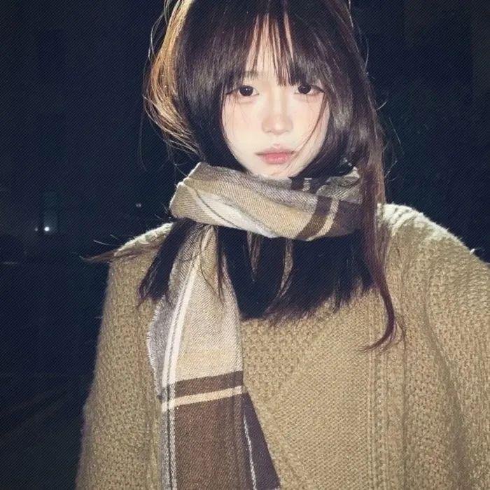 沉默与谎言封面